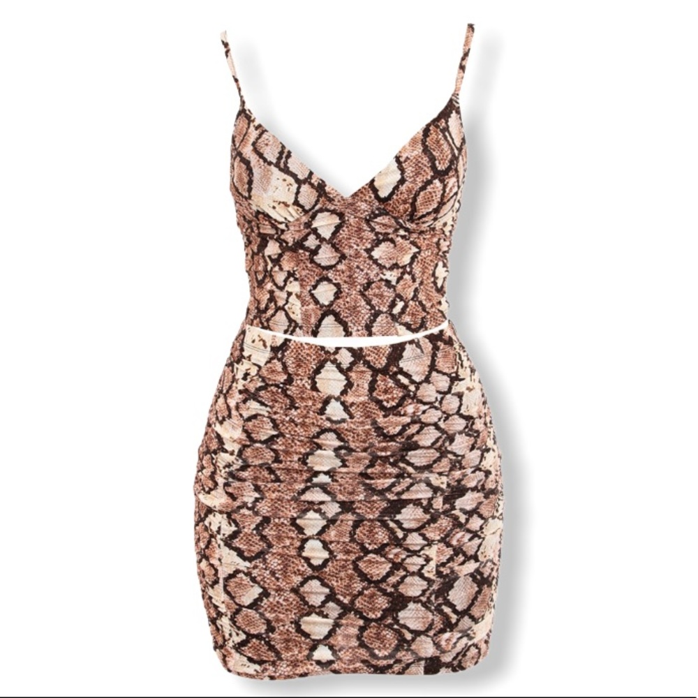 Mesh Snake Print Set
